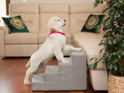 Shkallë për qen Hobbydog Small Steps Inari 30x50x30 cm, gri e çelët
