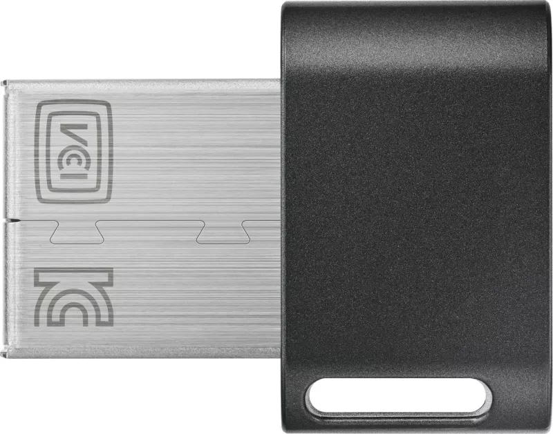 USB flash drive Samsung MUF-256AB, 256 GB, USB 3.2 Gen 1, Gri/Argjend