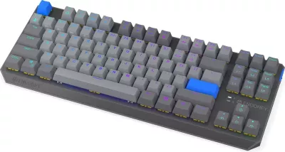 Tastierë mekanike wireless Endorfy Thock V2 TKL, RGB, 87 taste, gri