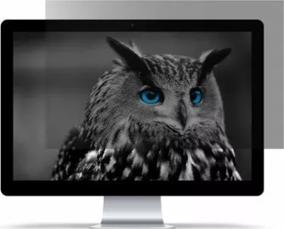 Filtër privatësie Natec RODO OWL NFP-1477 23.8" 16:9, transparent