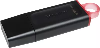 Flash memorie USB Kingston, 256 GB, Gen 1, e zezë