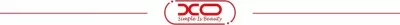 Transmetues FM Bluetooth XO BCC16, Bluetooth 5.3, USB-A, Jack 3.5 mm, TF, i zi