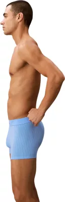 Të brendshme (bokser) për meshkuj Calvin Klein Underwear LV00NB4504, blu [Madhësia: L]