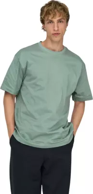 Maicë për meshkuj Only & Sons Onsfred Life Rlx SS Tee Noos 22022532, e gjelbër