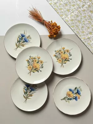 Set pjatash për ëmbëlsira, shumëngjyrëshe, Hermia Concept, Lily 6, 21x21cm, 6 copë