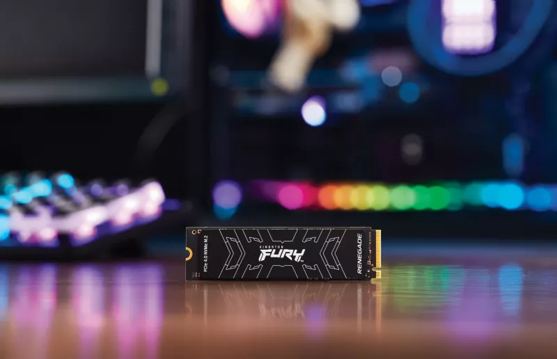 SSD Kingston FURY RENEGADE M.2 2280 NVMe, 1 TB, 7300 MB/s