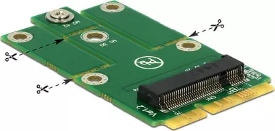 Adapter DeLOCK 62654 Mini PCIe në M.2 NGFF, 30 x 54 mm