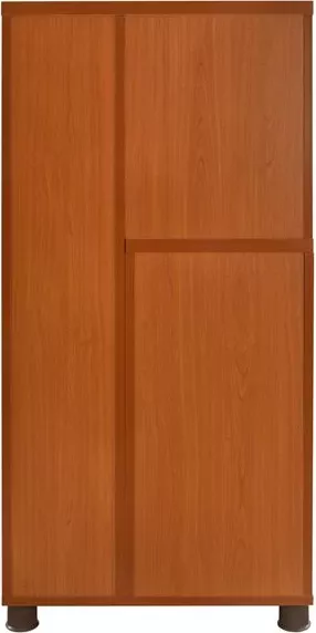 Dollap profesional për zyre, ngjyrë qershie, FH2052.03R, 60x46x120 cm