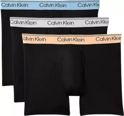 Të brendshme për meshkuj Calvin Klein Underwear LV00NB4410, të zeza dhe blu