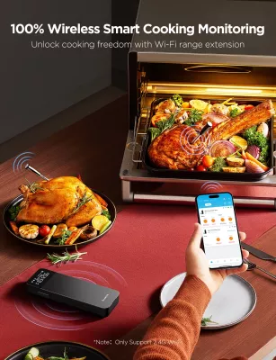 Termometër mishi Govee GoveeLife, wireless Bluetooth + WiFi, 2 sonda, LCD, rreze deri 150 m, i zi