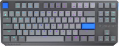 Tastierë mekanike wireless Endorfy Thock V2 TKL, RGB, 87 taste, gri