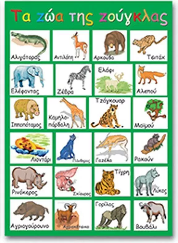 Poster edukativ NEXT "Kafshët e Xhunglës",  50x70cm