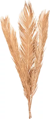 Set dekorativ me 3 gjethe të thara palme, ngjyrë ari, FH7958, 110H cm