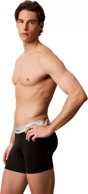 Të brendshme për meshkuj Calvin Klein Underwear LV00NB4576, të zeza - argjendta [Madhësia: S]