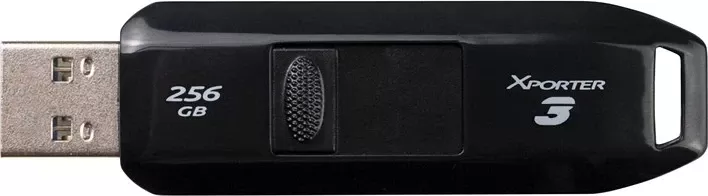 USB Flash Patriot Memory, 256GB