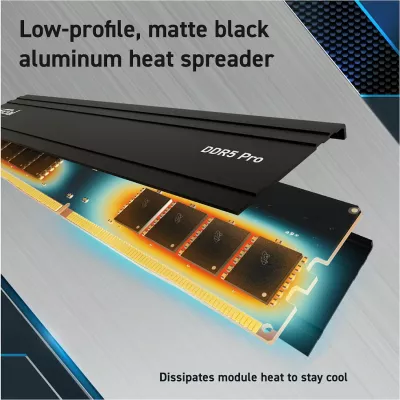 RAM Memorje Crucial DDR5 Pro 48GB (2x24GB) 5600MHz, UDIMM, me heatsink, e zezë