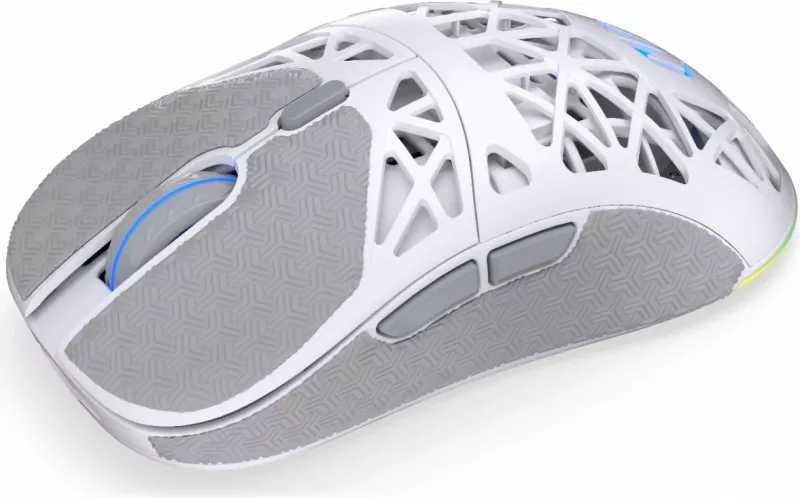 Maus wireless Endorfy LIV Plus Onyx, RGB, i bardhë