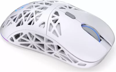 Maus wireless Endorfy LIV Plus Onyx, RGB, i bardhë