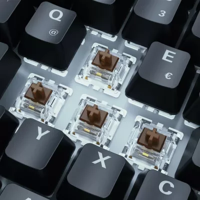 Tastierë mekanike SHARKOON SKILLER SGK50 S3, Gateron Brown, RGB, 75%, DE layout, e zezë