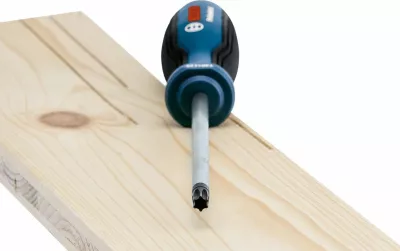 Kaçavidë Torx Bosch Professional TX25 100 mm 1600A01V0C, blu/zezë, 1 copë
