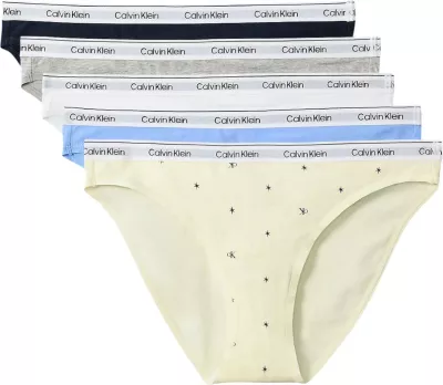 Të brendshme bikini Calvin Klein Underwear 000QD5208E, për femra, gri e çelët [Madhësia: L]