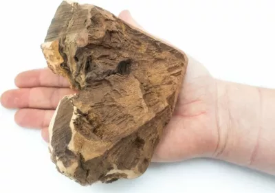 Përtypëse natyrale për qen 4DOGS Heather Root L (10-20 kg), 350-500 g