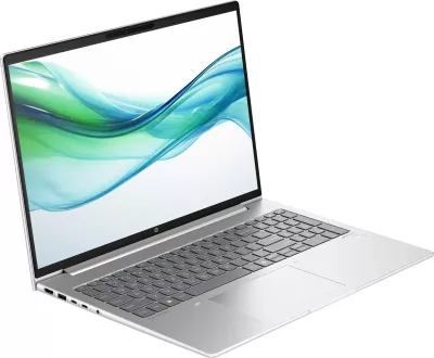 Laptop HP ProBook 460 G11 Ultra 5 125U, 16GB RAM, 512GB SSD, 16" WUXGA, Pike Silver