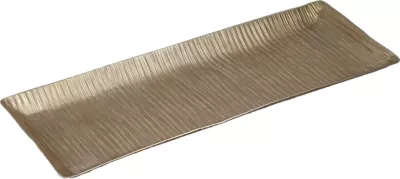Tabaka dekorative, alumini, ngjyrë shampanjë, 50x19x2 cm