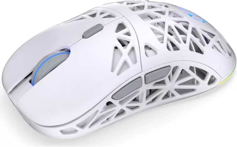 Maus gaming ENDORFY LIV Wireless Onyx White EY6A019, 12000 DPI, ARGB, i bardhë