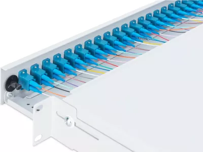 Kuti bashkimi fibrash optike Digitus, LC, OS2, 24 porta, çelik, gri, 1U