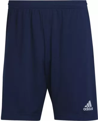 Shorce stërvitjeje për meshkuj Adidas, e kaltër e errët