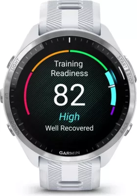 Smartwatch Garmin Forerunner® 965 – Titanium Bezel, Stone White Case, Stone White/Dusty Grey Silicone Strap