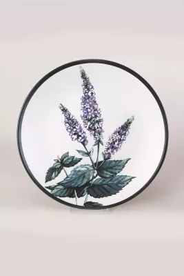 Set pjatash shërbimi, 6 copë, Hermia Concept, ST040406F022AMD3600MAS3T00