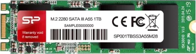 Disk SSD Silicon Power M2 A55, 1TB 