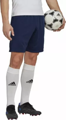 Shorce stërvitjeje për meshkuj Adidas, e kaltër e errët [Madhësia: M]