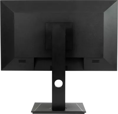 Monitor AG Neovo DW2401, 24 inç, 2560 x 1440 piksel, LED, i zi