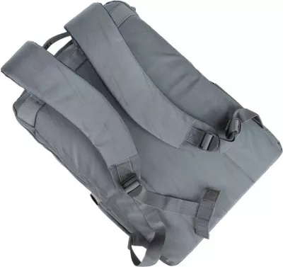 Çantë shpine RIVACASE NB Alpendorf Eco 17.3" gri