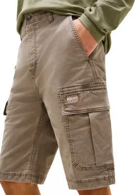 Shorce për meshkuj Tommy Hilfiger Jeans DM0DM22831, taupe [Madhësia: W38]