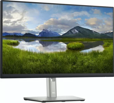 Monitor DELL P Series 24 P2422H, 23.8", Full HD, LCD, 8 ms, i zi