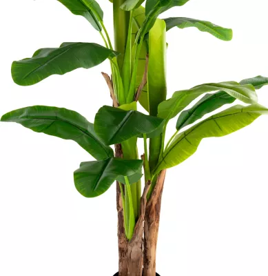 Bimë sintetike dekorative, pema banane në vazo, FH7977, 150H cm