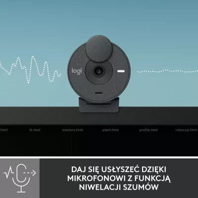 Webkamerë Logitech Brio 300 Full HD 1080p USB-C, Graphite (960-001436)