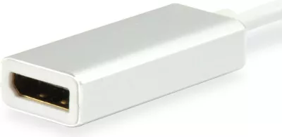 Adapter USB Type C në DisplayPort Equip, 4096x2160, bardhë