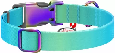 Qafore qeni Waudog 46522, rPET, 25-35 cm, kaltër