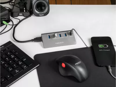 USB hub DeLOCK 4 porte USB 10 Gbps + port karikimi i shpejtë, gri