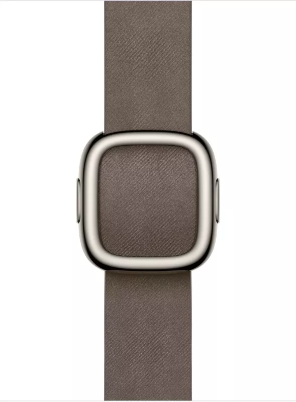 Rrip Apple 42mm Dark Taupe Modern Buckle, i madh