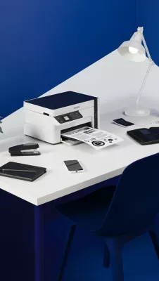 Printer Epson EcoTank M2120, Inkjet, Wi-Fi, Bardhë