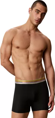 Të brendshme boxer për meshkuj Calvin Klein Underwear LV00NB4591, të zeza
