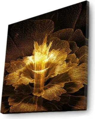 Pikturë dekorative me drita LED, Wallity, 4040DACT-6, shumëngjyrëshe, 40x40cm