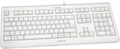 Tastierë Cherry KC 1068, Full-size, USB, Gri