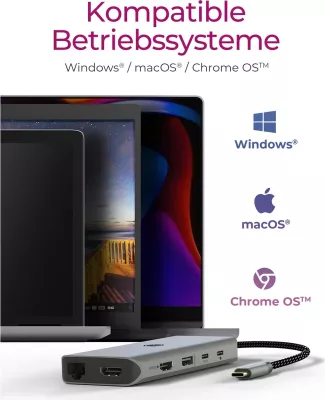 Docking station ICY BOX IB-DK4061-CPD, USB Type-C, 100W, HDMI, Ethernet, gri